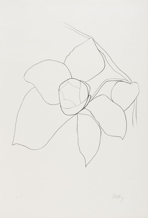 Ellsworth Kelly: Nature Abstracted