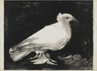 Picasso's lithograph of a dove