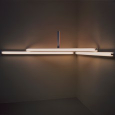 "monument" on the survival of Mrs. Reppin: An Artwork by Dan Flavin