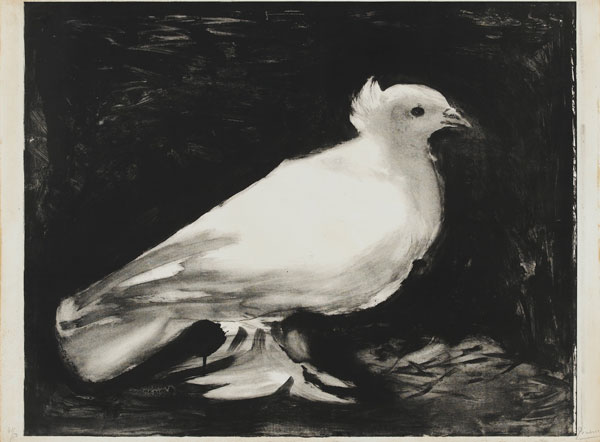 Picasso's 1949 lithograph of a dove