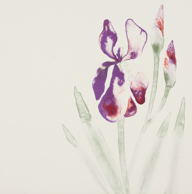 Ruth Asawa, Flowers V, 1965