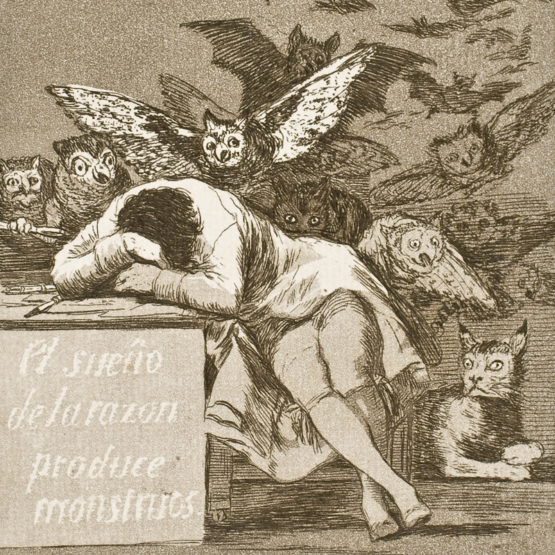 Caprichos: The Sleep of Reason Produces Monsters (El sueño de la razon produce monstruos)