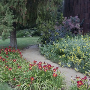 California Summer Border