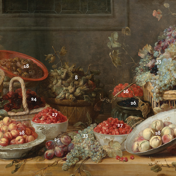 Plant Identification Guide: Frans Snyders, "Still Life with Fruit and Vegetables"
