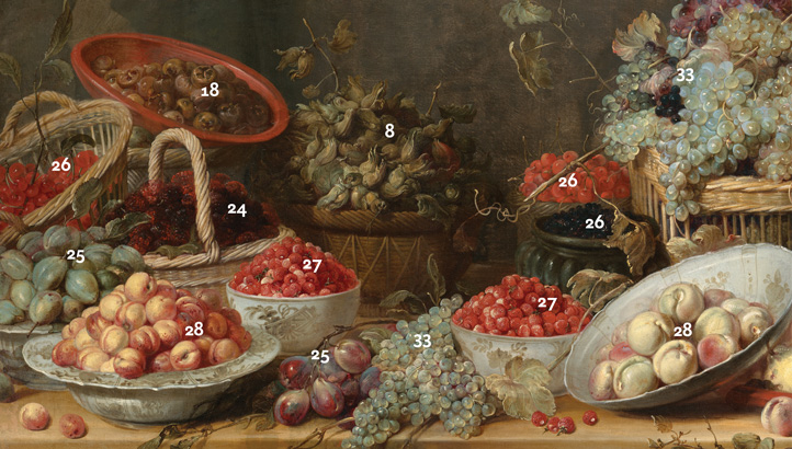 Plant Identification Guide: Frans Snyders, "Still Life with Fruit and Vegetables"
