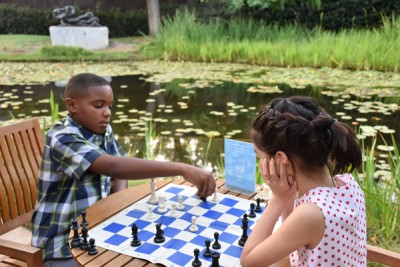 Chess in the garden and galleries