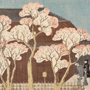 Lesson of the Cherry Blossom: Japanese Woodblock Prints