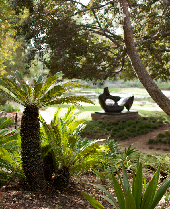 The Sculpture Garden