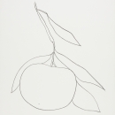 The Nature of Ellsworth Kelly