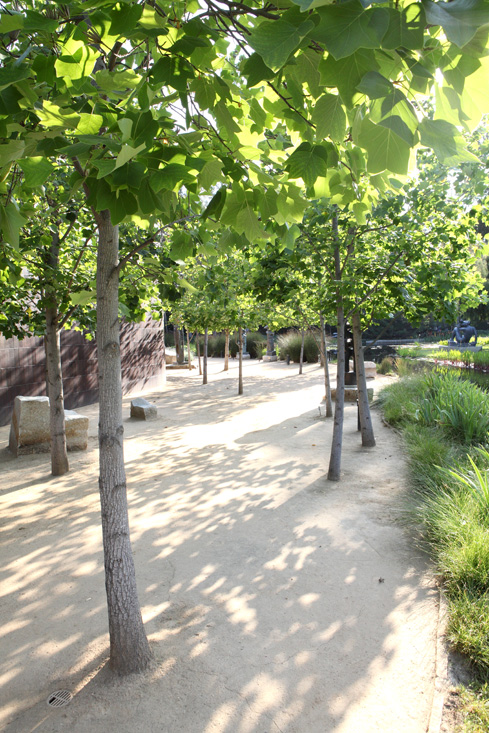 All About Nature: Gnarly-Tree Forms 