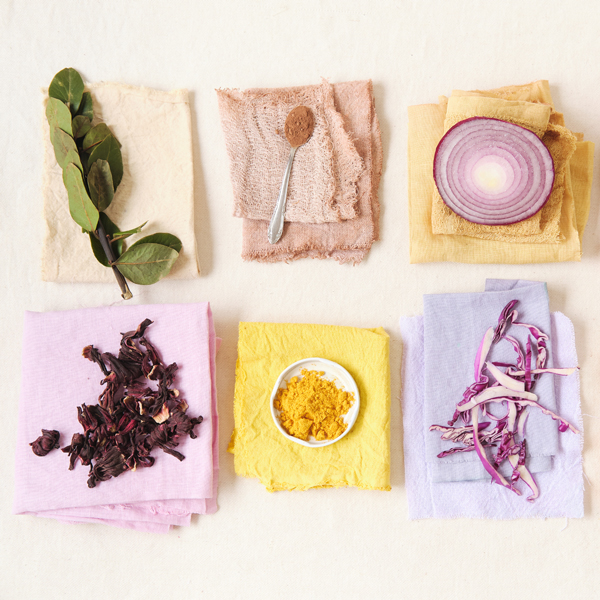 Fun with Fruit: Using Edible Materials in Art