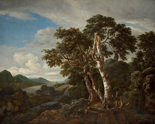 Trees and Landscapes