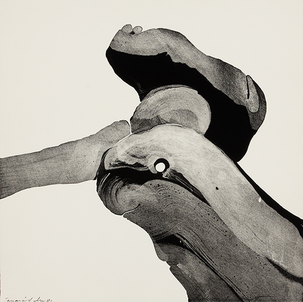 In-Person: Richard Hunt: Details & Alternate Realities