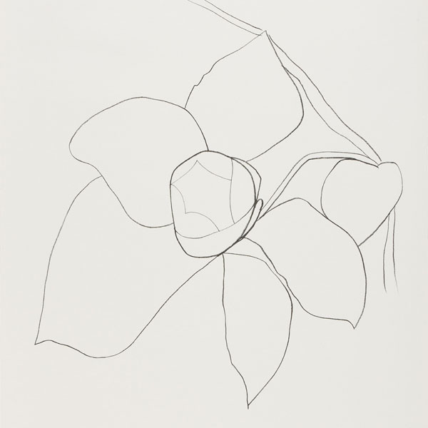 Ellsworth Kelly: Nature Abstracted