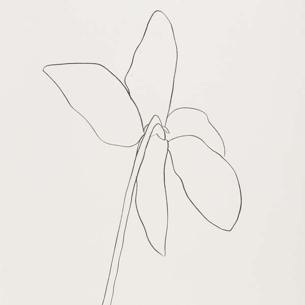 Nature Prints