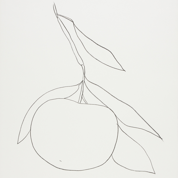 The Nature of Ellsworth Kelly