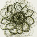 Ink, Paper, Stone: Six Women Artists and the Language of Lithography