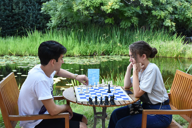 Checkmate! Chess at the Museum