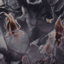 Abstraction in Photography and Painting