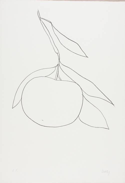 The Nature of Ellsworth Kelly