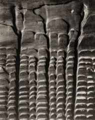 Edward Weston's gelatin silver print from 1931 of an eroded piece of wood