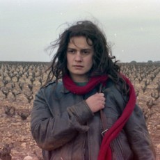 FILM SERIES: The Female Gaze: French Women Directors Shine a Light on Their World