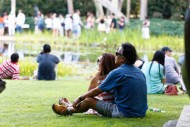 Couple cuddling on the grass