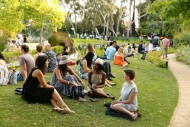 Young Women Chatting on the Grass