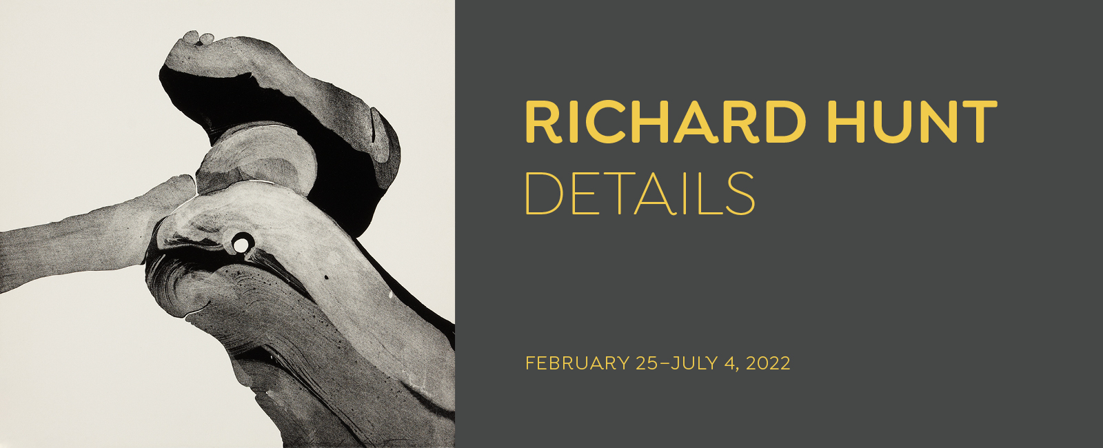 Richard Hunt Details